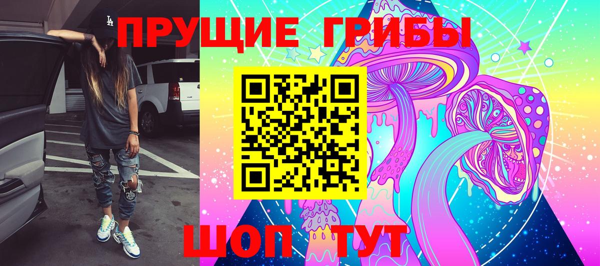 Галлюциногенные грибы прущие грибы  закладка  Котлас  Вход с VPN 